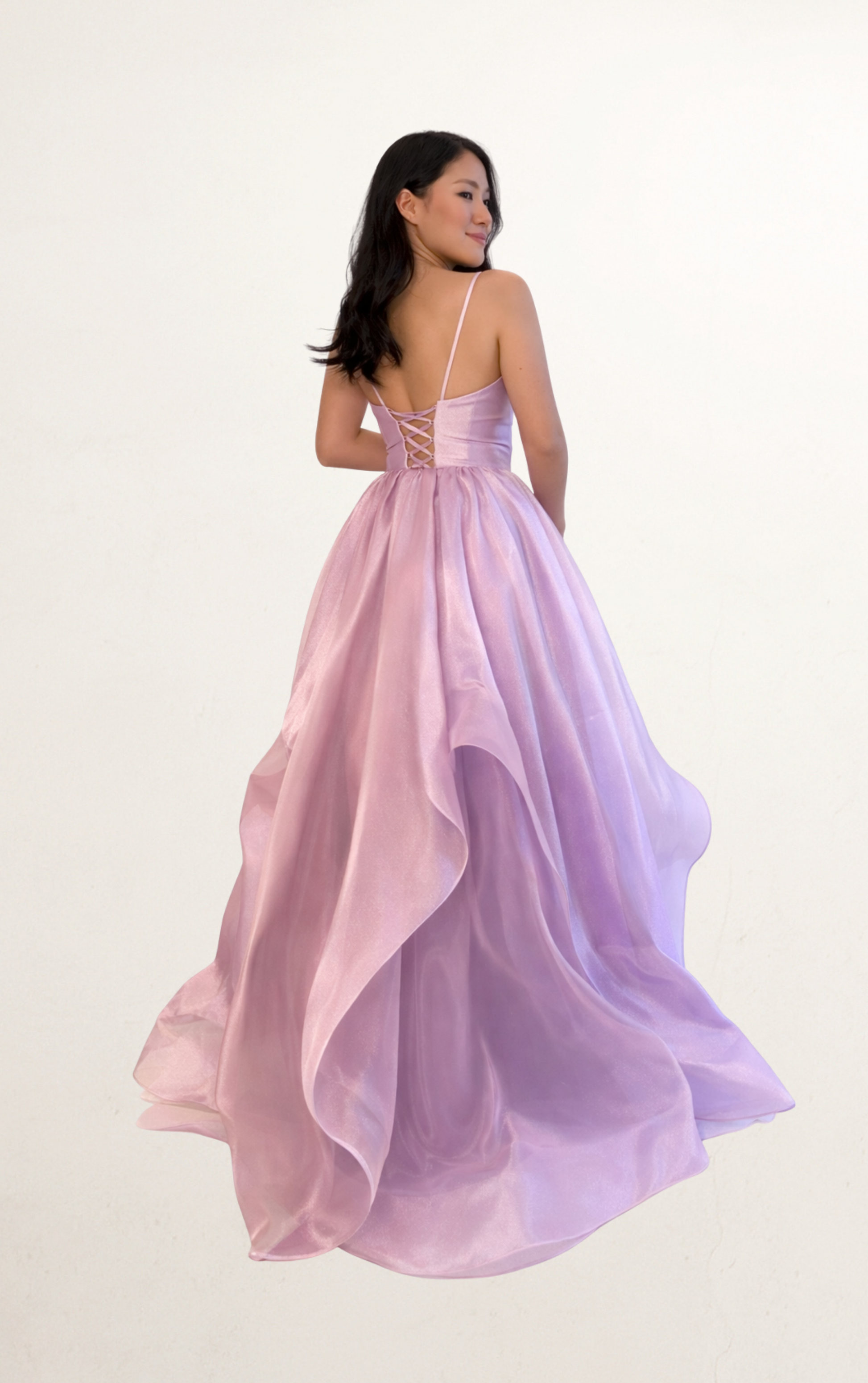 Purple V-Neck Organza Dress