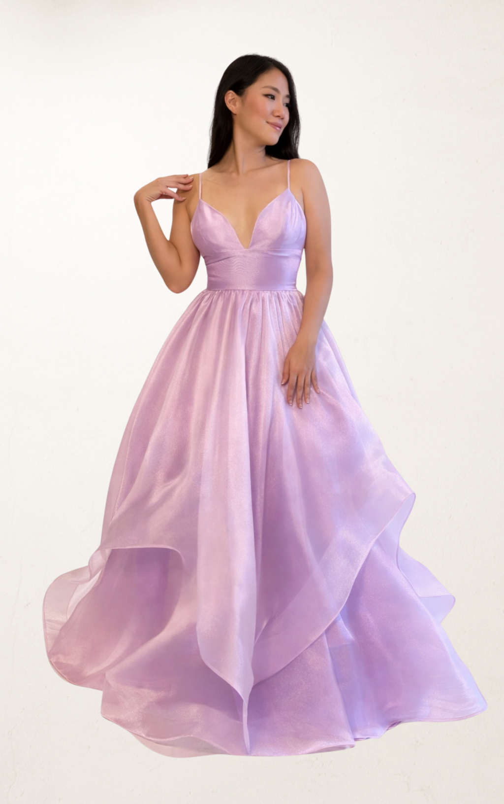 Purple V-Neck Organza Dress